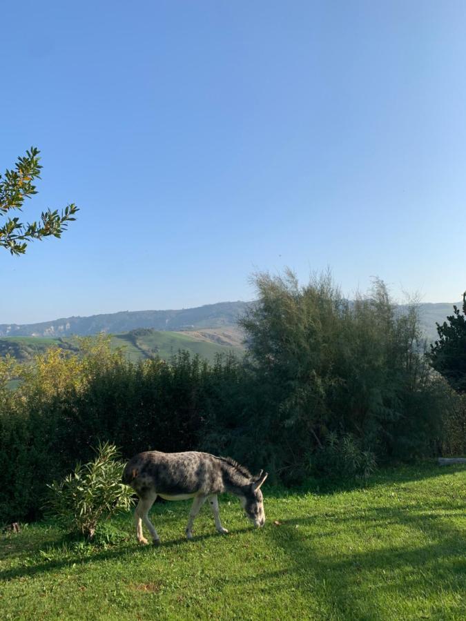 Relais B&B Betty Bike Sasso Feltrio Exterior photo